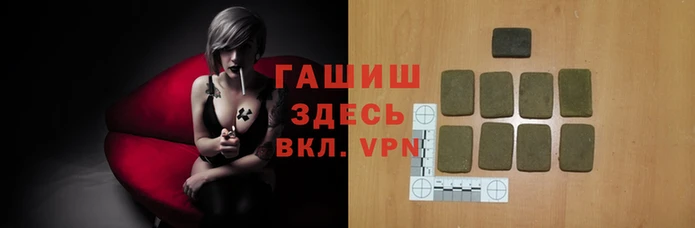 гидра Алексеевка