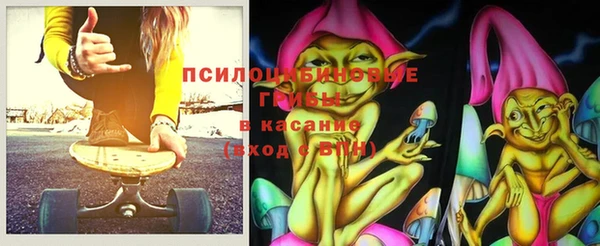 гидра Алексеевка