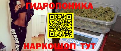 гашик Сланцы