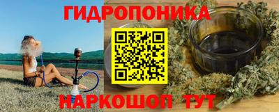 гашик Сланцы