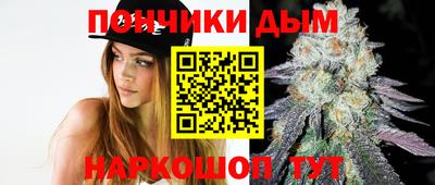 гашик Сланцы