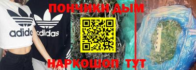 гашик Сланцы