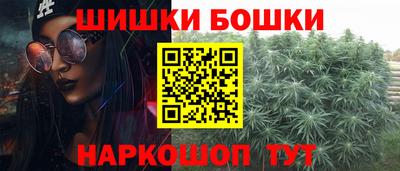 гашик Сланцы