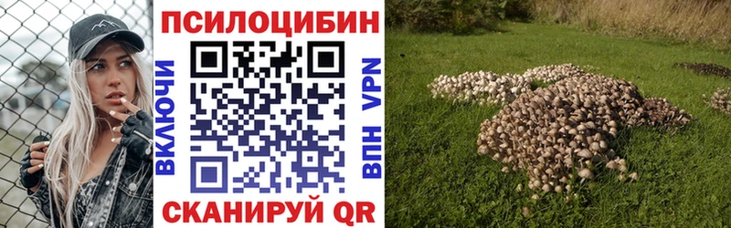 наркотики  Шуя  МЕГА зеркало  Псилоцибиновые грибы ЛСД 