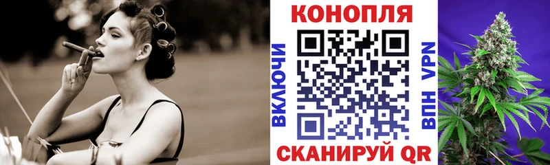 где купить наркоту  Шуя  Конопля планчик 