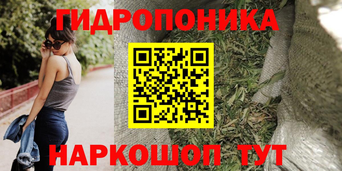 Марихуана гибрид Шуя